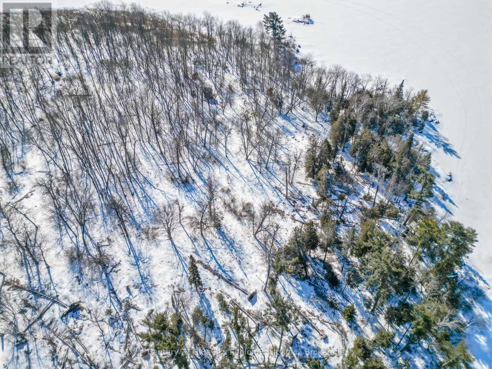 8 Grand Trunk Island, Callander, Ontario  P0H 1H0 - Photo 13 - X12934684