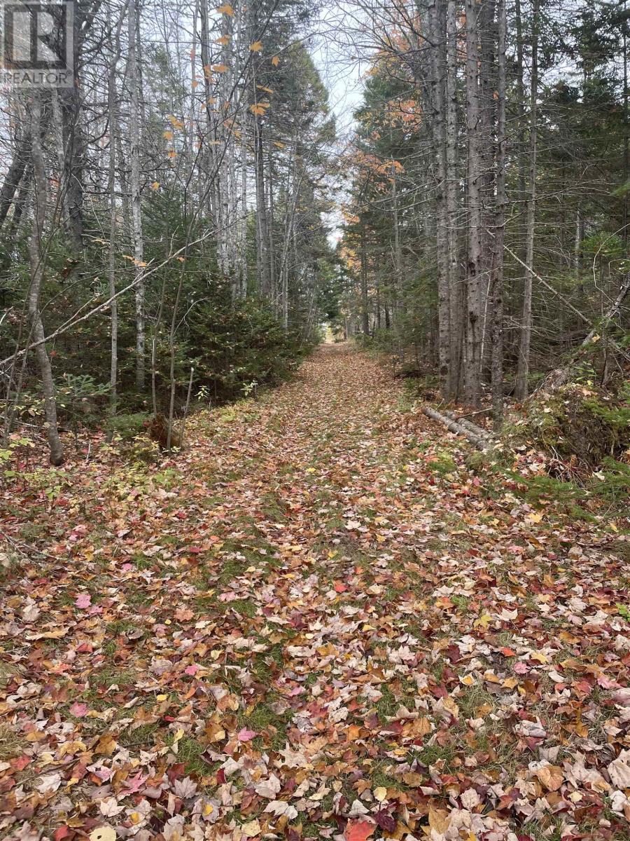 235 Cambridge Road, Cambridge, Prince Edward Island  C0A 1R0 - Photo 50 - 202605799
