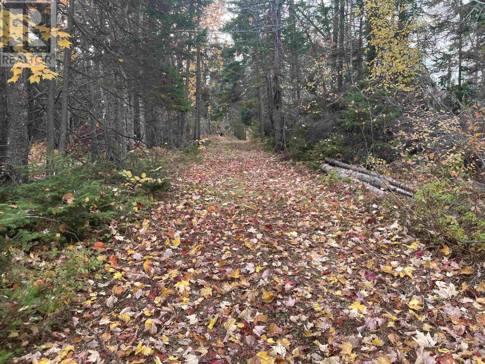 235 Cambridge Road, Cambridge, Prince Edward Island  C0A 1R0 - Photo 48 - 202605800