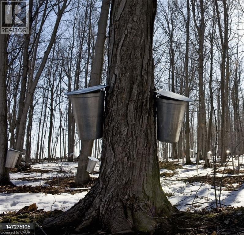 Na Vaughan Road, West Lincoln, Ontario  L0R 1C0 - Photo 5 - 40816053