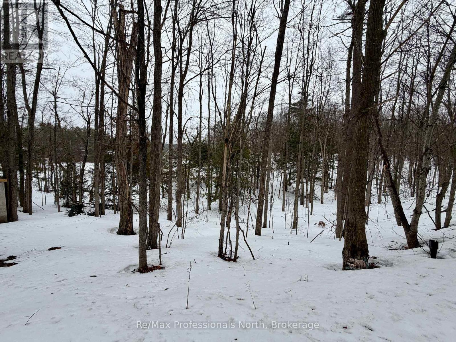 94 - 1007 Racoon Road, Gravenhurst, Ontario P1P 0C5 - Photo 3 - X12934982