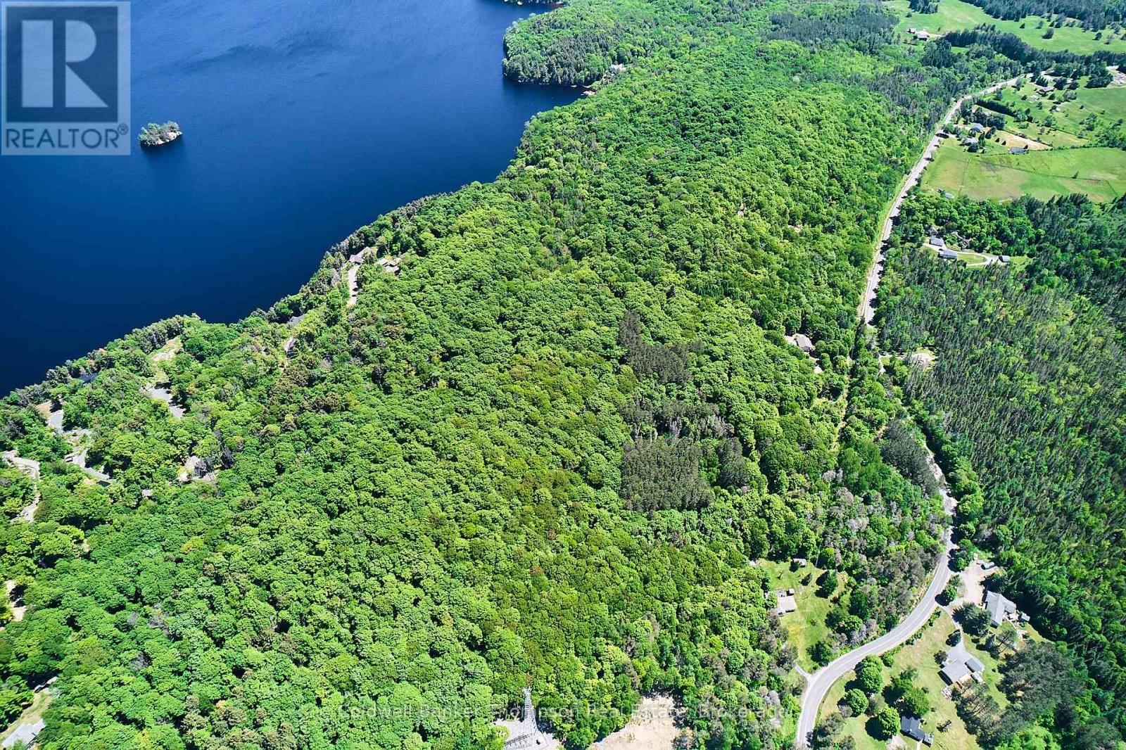 445 Etwell Road, Huntsville, Ontario P1H 2J2 - Photo 5 - X12935172