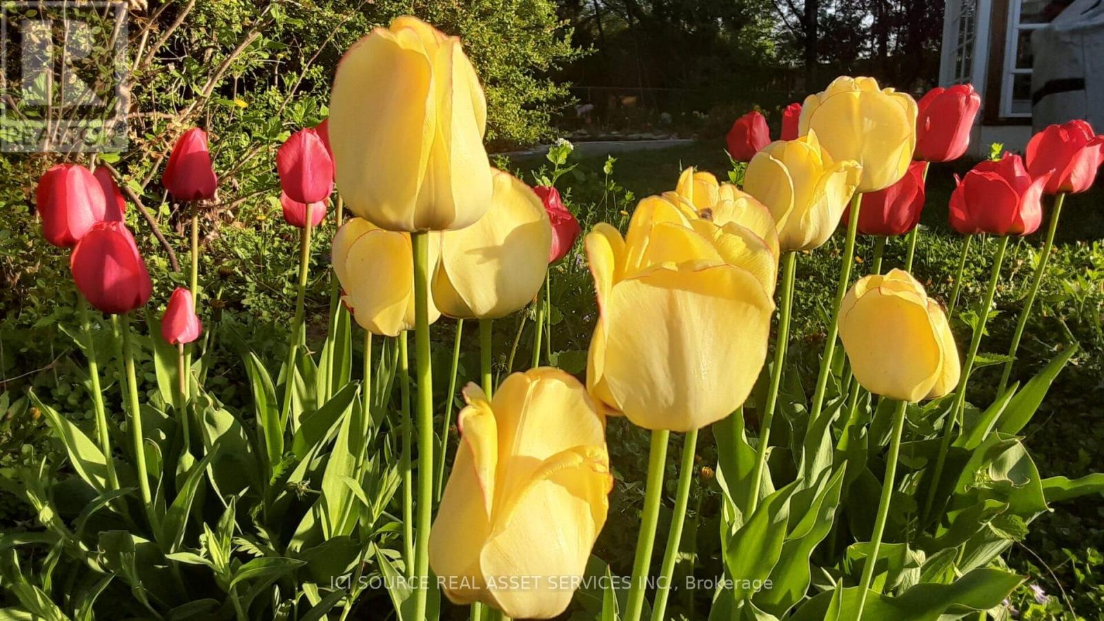 216 Brockville Street, Smiths Falls, Ontario  K7A 3Z4 - Photo 32 - X12847464