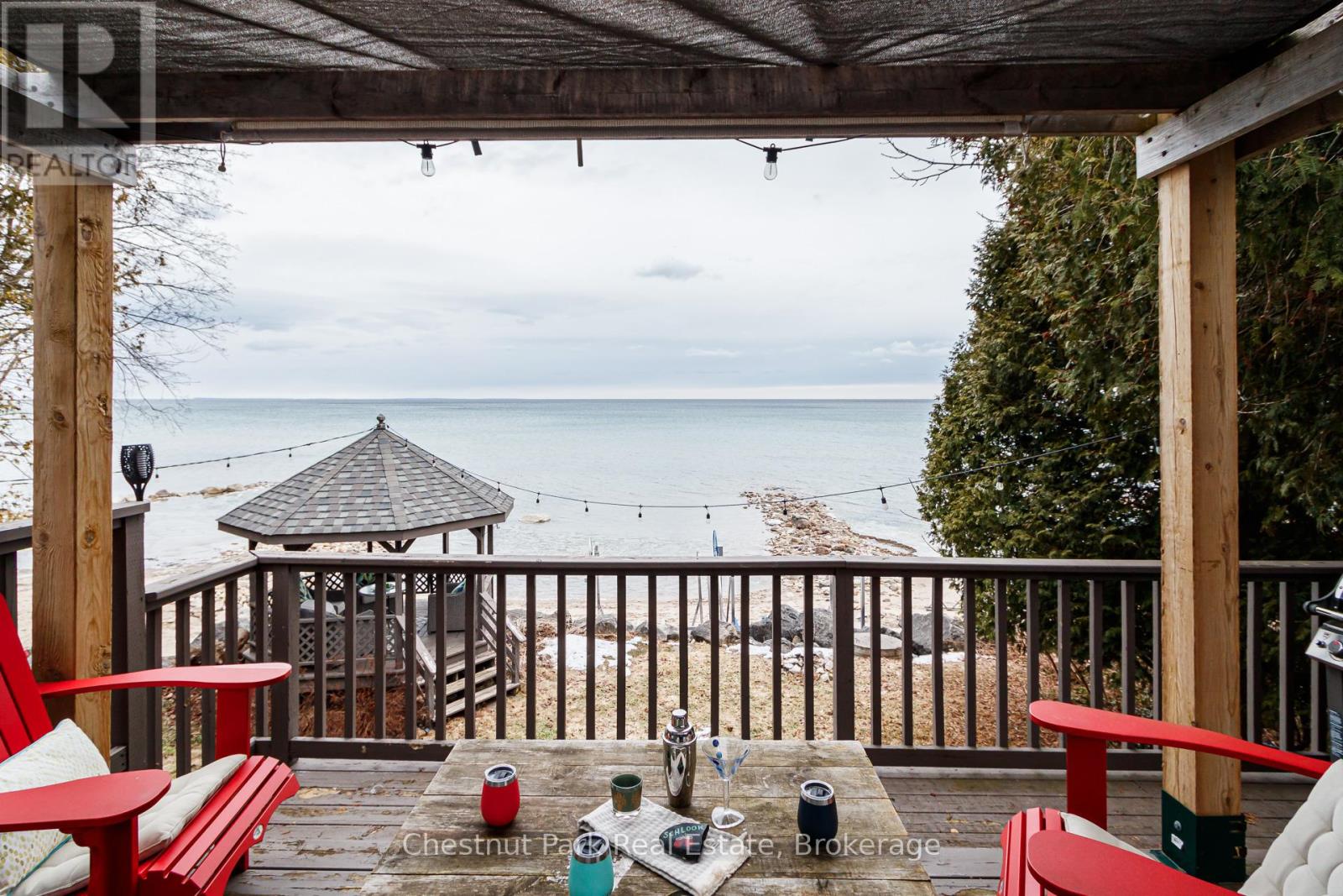 225 Cedar Avenue, Meaford, Ontario N4L 1W5 - Photo 46 - X12929100