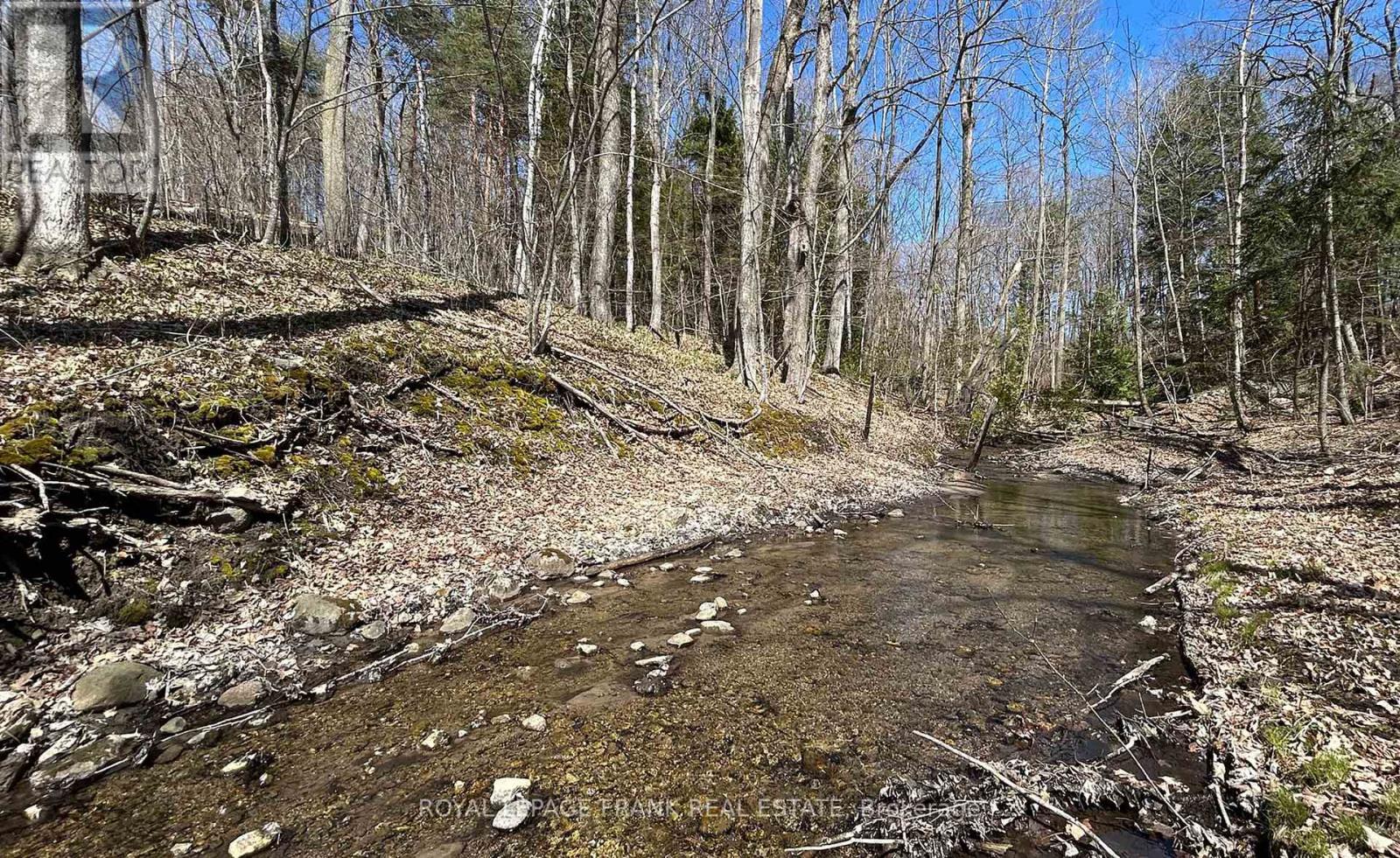 119 Usborne Road, Alnwick/haldimand, Ontario  K0K 1S0 - Photo 33 - X12935010