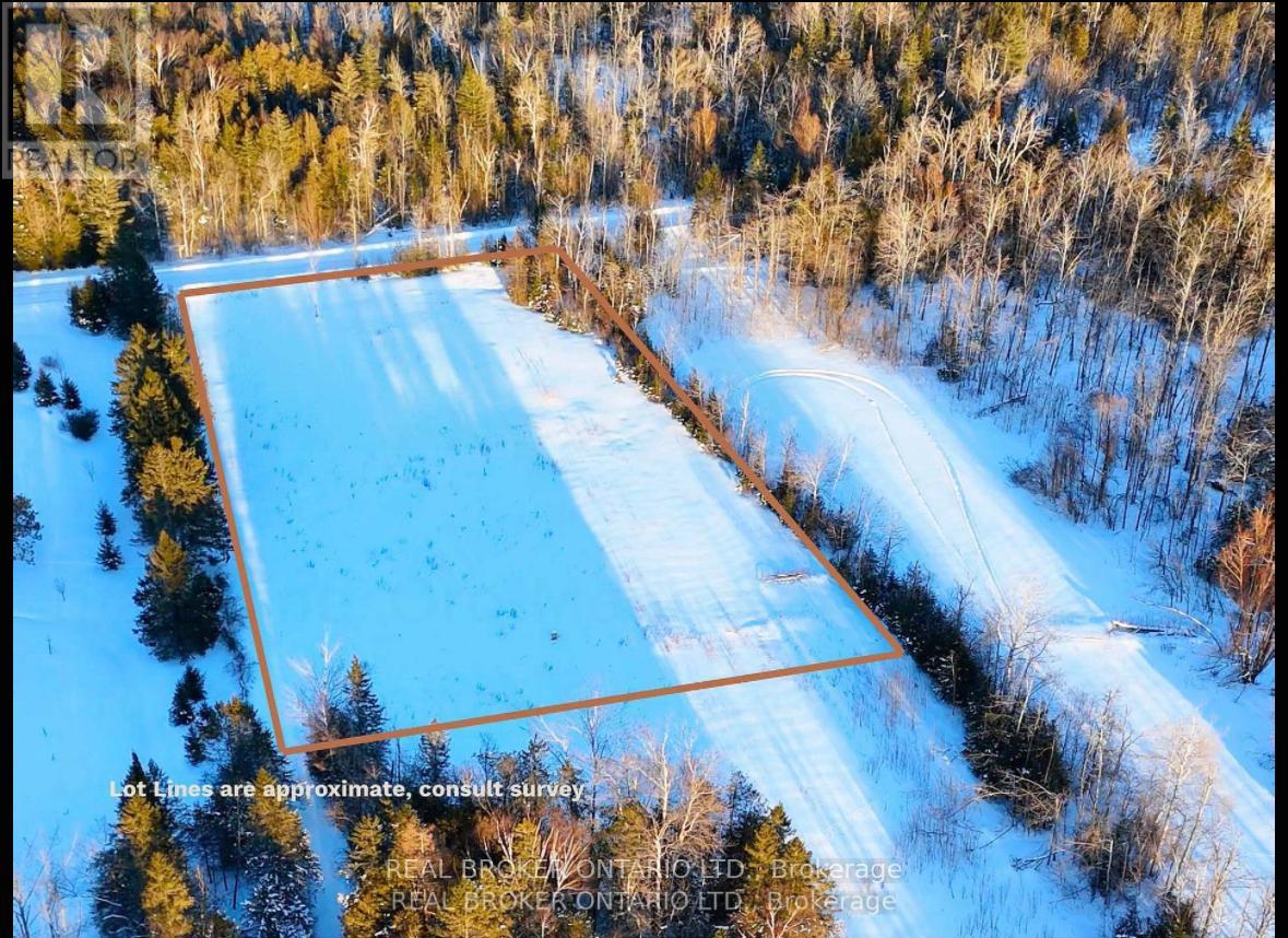 N/a 2 Line N, Oro-Medonte, Ontario  L0L 2N0 - Photo 10 - S12893028