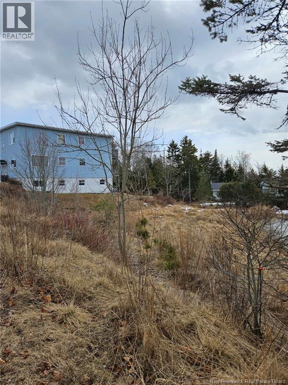 Lot Fern Street, Saint John, New Brunswick  E2J 2M5 - Photo 2 - NB136097