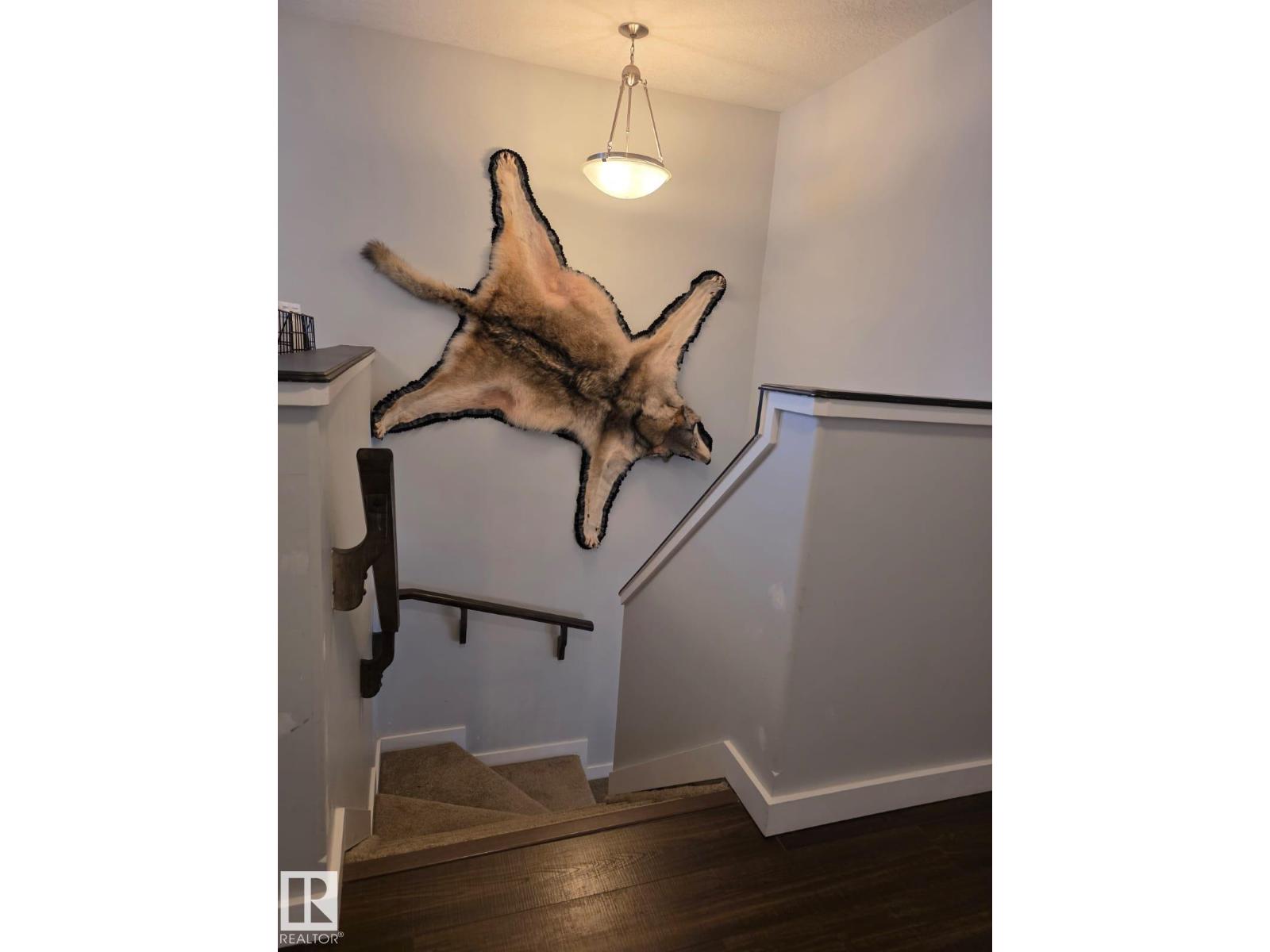 4012 41b Av, Drayton Valley, Alberta  T7A 1B5 - Photo 12 - E4478892