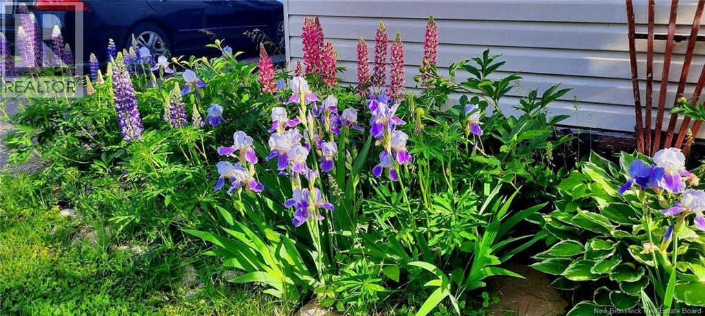 257 Clements Drive, Nashwaaksis, New Brunswick  E3G 7A9 - Photo 33 - NB135999