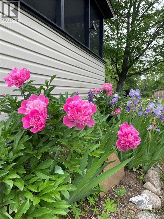 257 Clements Drive, Nashwaaksis, New Brunswick  E3G 7A9 - Photo 34 - NB135999