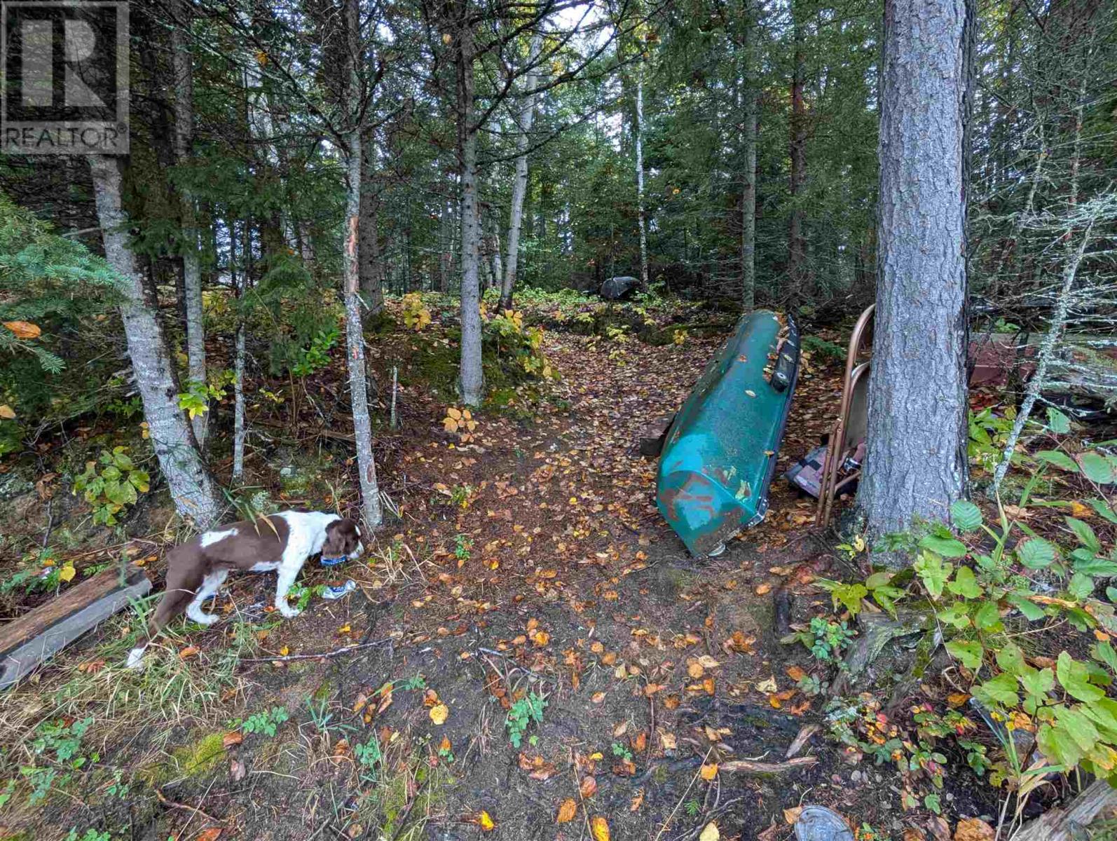 119 Mcveigh Creek, Esquega Township Hawk Junction, Ontario P0S 1G0 - Photo 35 - SM260570