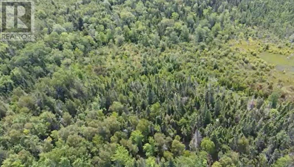 2.85 Acreage Primrose Road, Rte 311, Launching, Prince Edward Island  C0A 1G0 - Photo 4 - 202605816