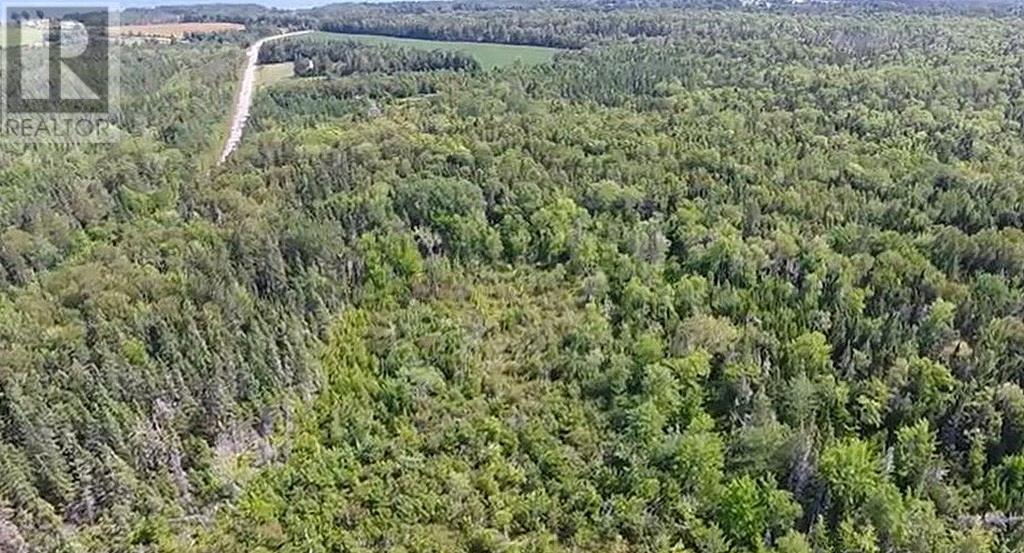 2.85 Acreage Primrose Road, Rte 311, Launching, Prince Edward Island  C0A 1G0 - Photo 8 - 202605816