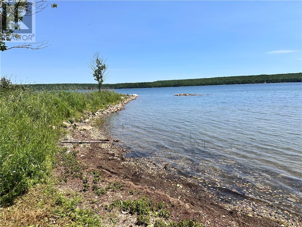 58 Picnic Point Lane, Manitowaning, Ontario  P0P 1N0 - Photo 19 - 2126962
