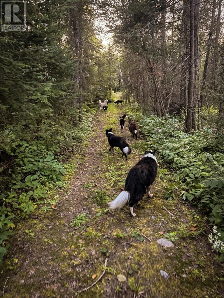 146 Gordon Lake, Chelmsford, Ontario  P0M 1L0 - Photo 45 - 2126960