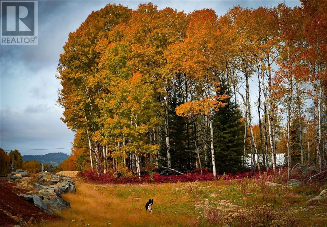 146 Gordon Lake, Chelmsford, Ontario  P0M 1L0 - Photo 56 - 2126960