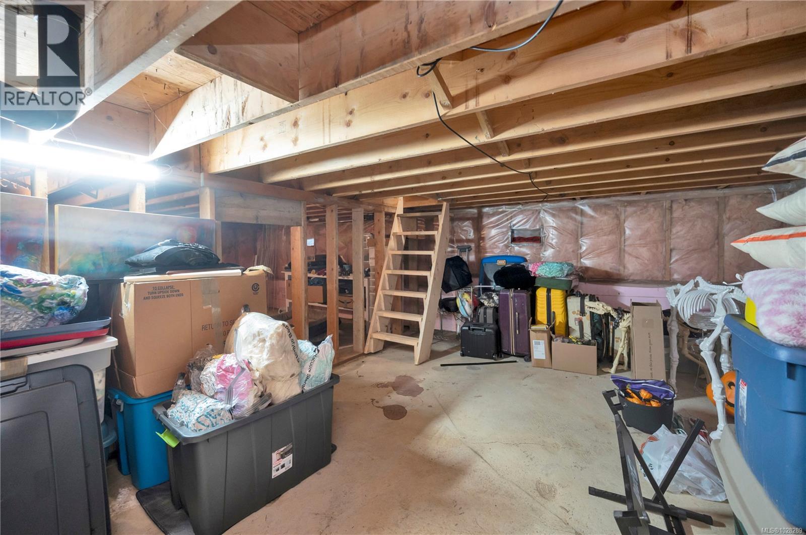 473 Murray Pl, Campbell River, British Columbia  V9W 6S2 - Photo 25 - 1028289