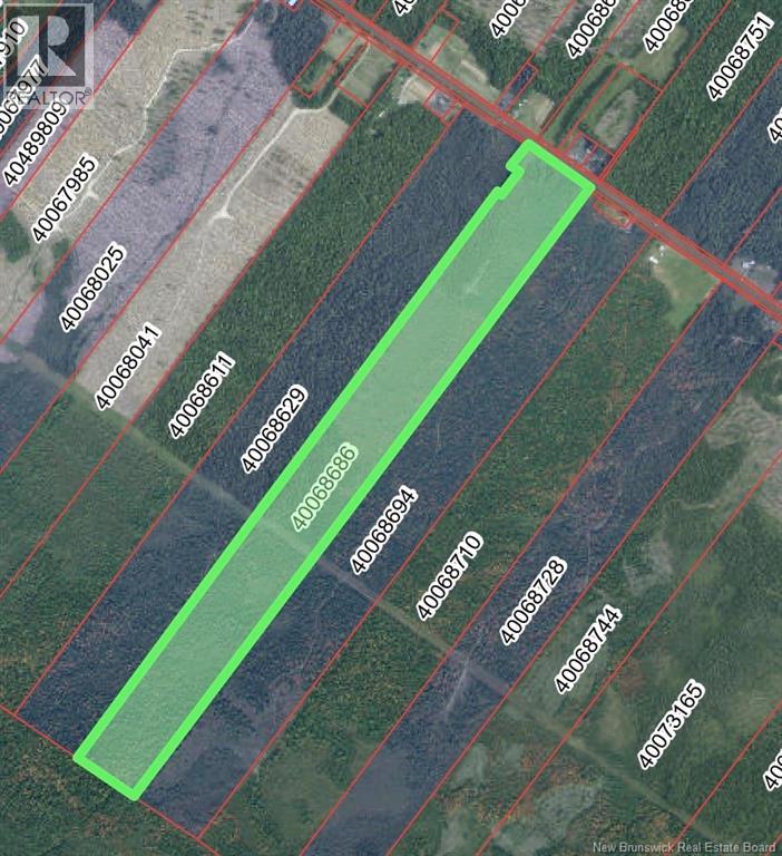 Vacant Lot Route 11, Redmondville, New Brunswick  E1N 5C7 - Photo 2 - NB136098