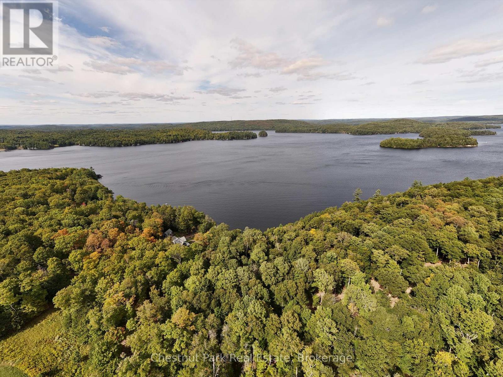 300 Bigwin Island, Lake Of Bays, Ontario  P0B 1A0 - Photo 11 - X12935730