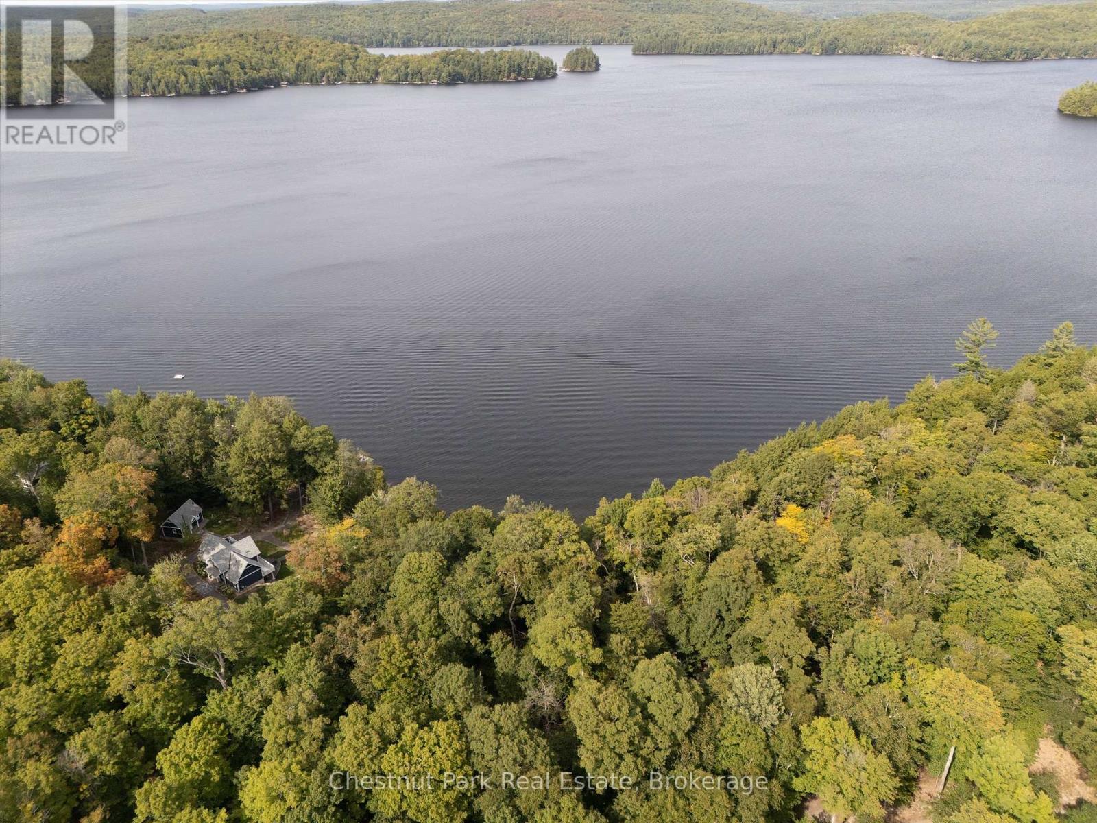 300 Bigwin Island, Lake Of Bays, Ontario  P0B 1A0 - Photo 13 - X12935730