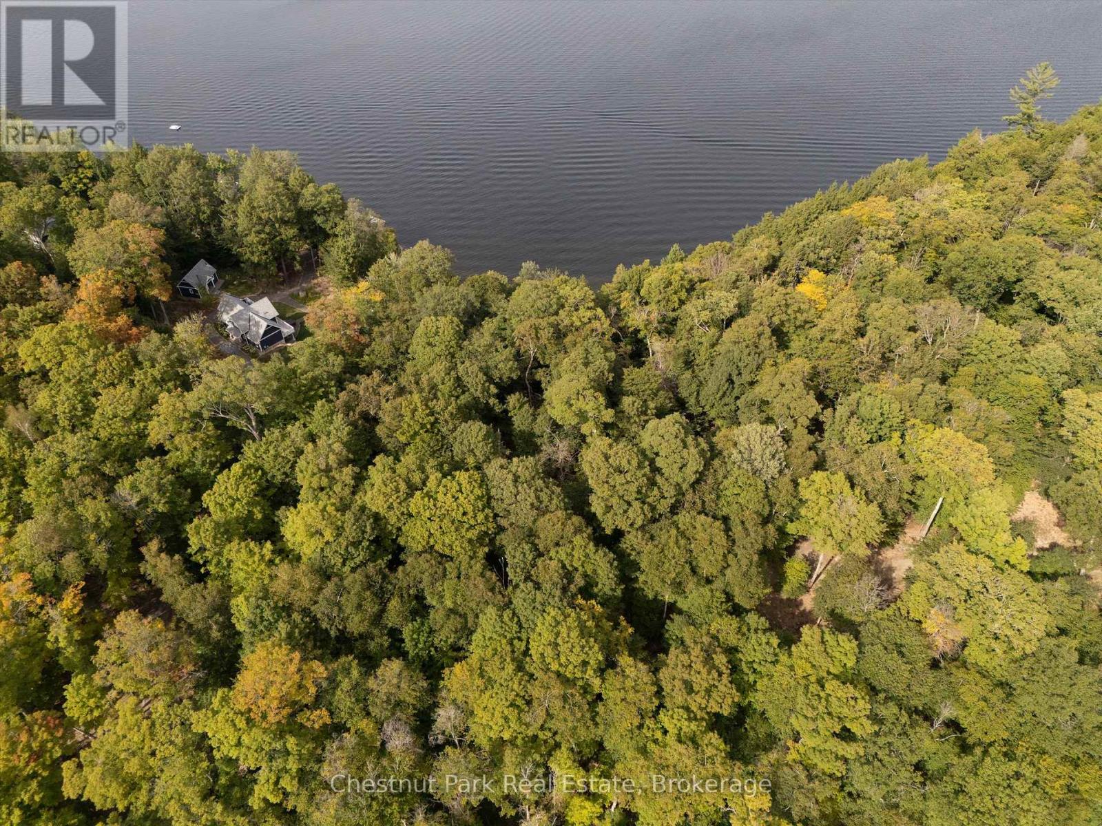 300 Bigwin Island, Lake Of Bays, Ontario  P0B 1A0 - Photo 14 - X12935730