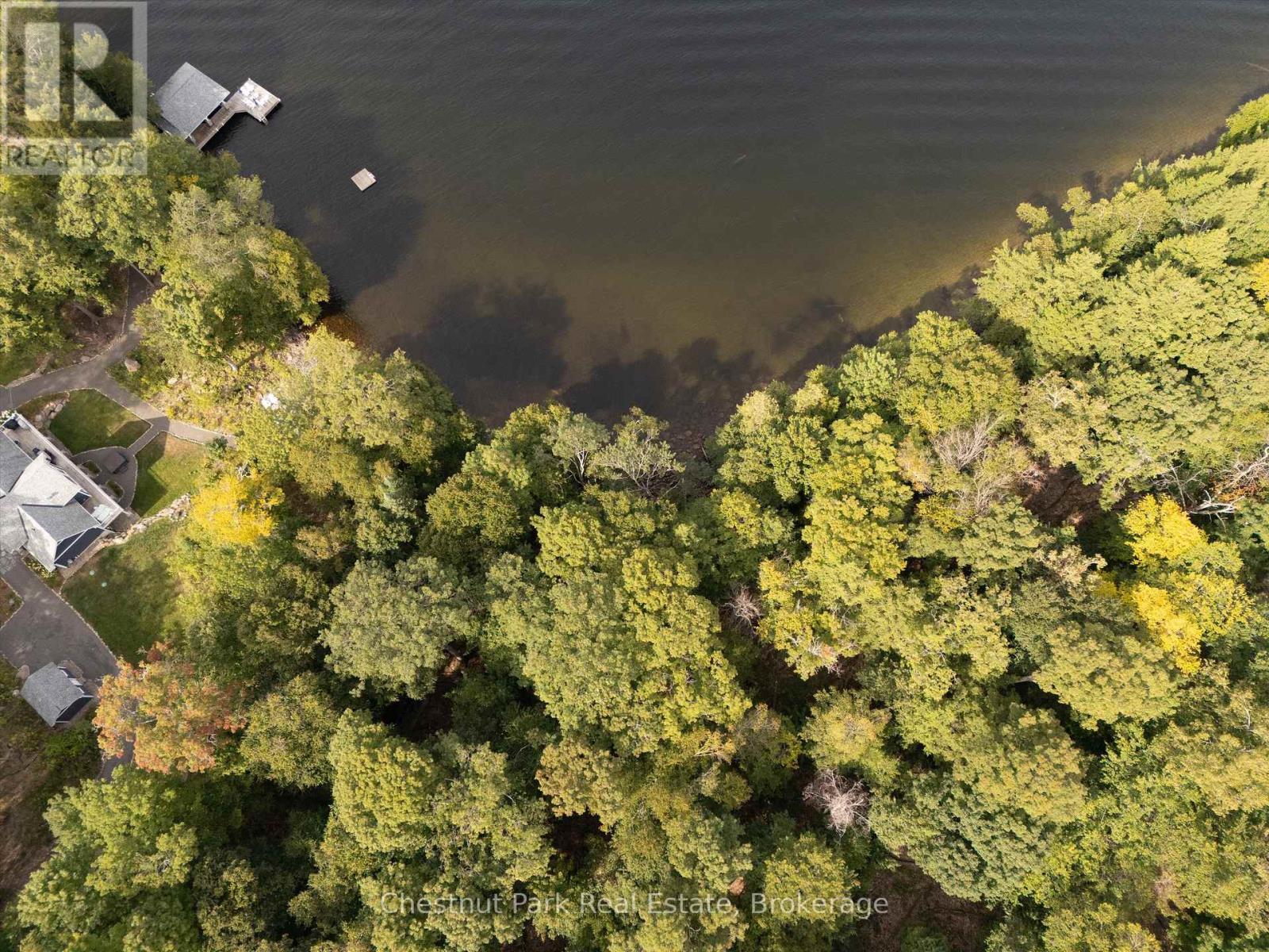 300 Bigwin Island, Lake Of Bays, Ontario  P0B 1A0 - Photo 15 - X12935730