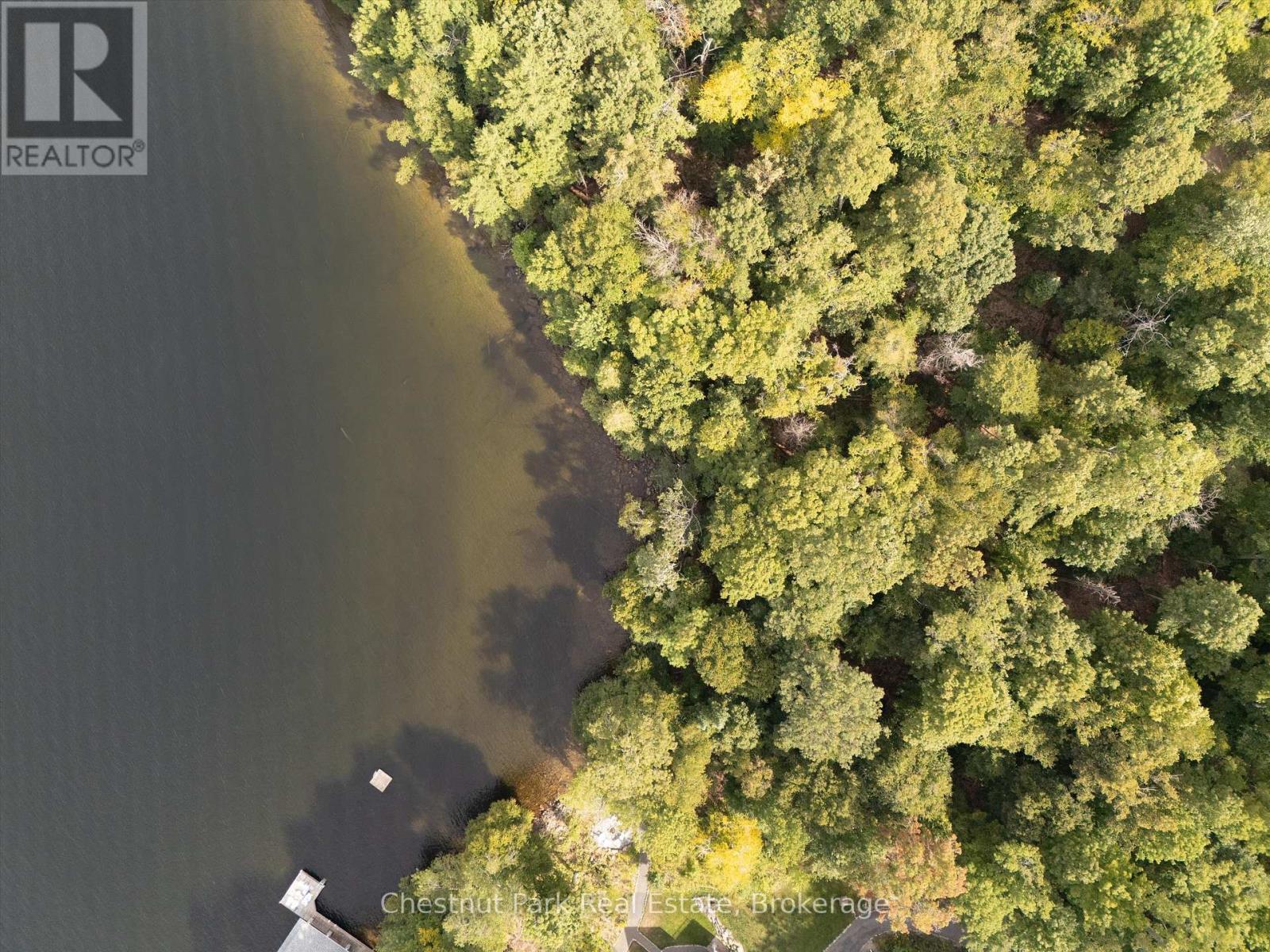 300 Bigwin Island, Lake Of Bays, Ontario  P0B 1A0 - Photo 7 - X12935730