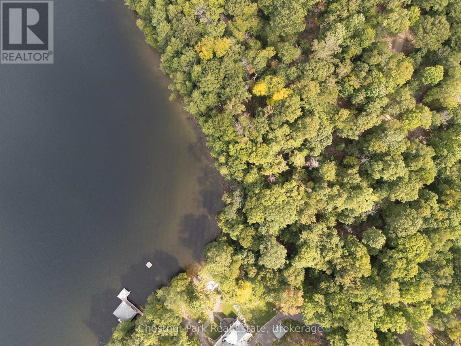 300 Bigwin Island, Lake Of Bays, Ontario  P0B 1A0 - Photo 8 - X12935730