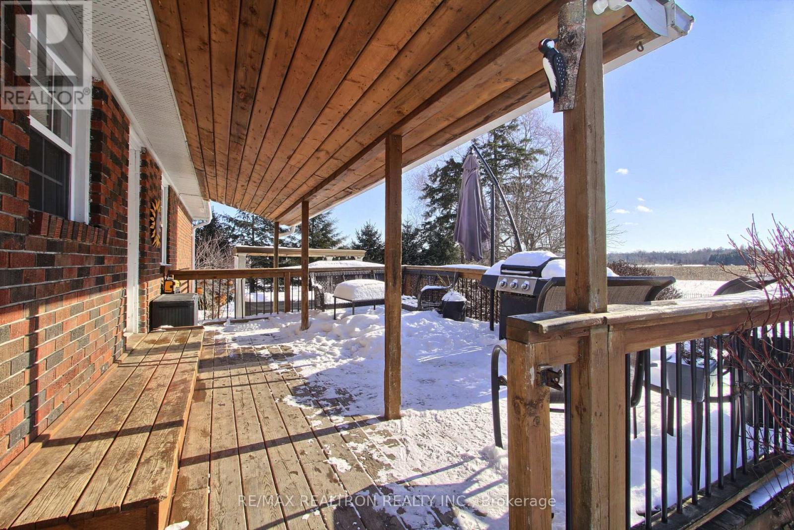 4881 Mount Albert Road, East Gwillimbury, Ontario  L0G 1M0 - Photo 35 - N12935796