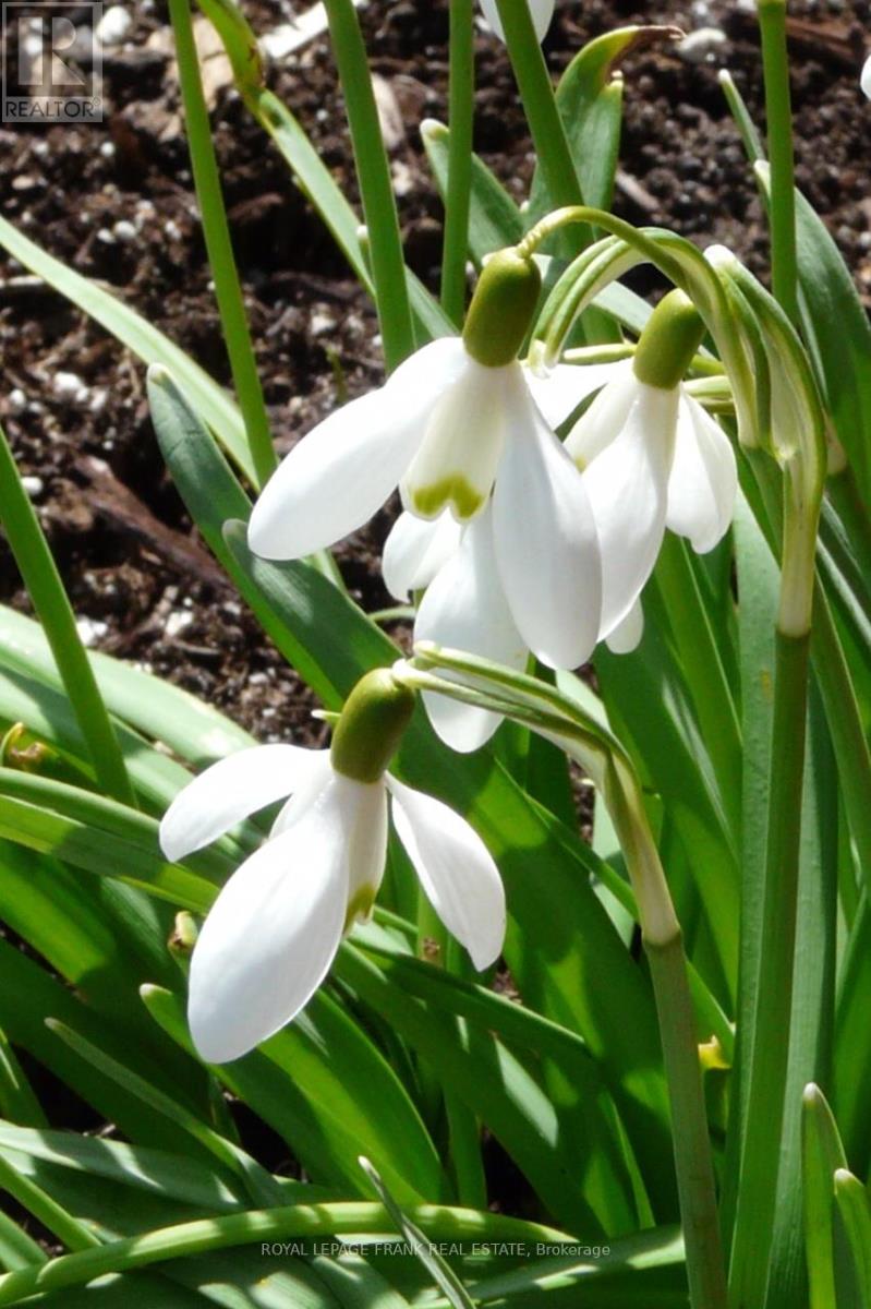 38 Fred Barnard Way, Uxbridge, Ontario L9P 0B9 - Photo 15 - N12928608