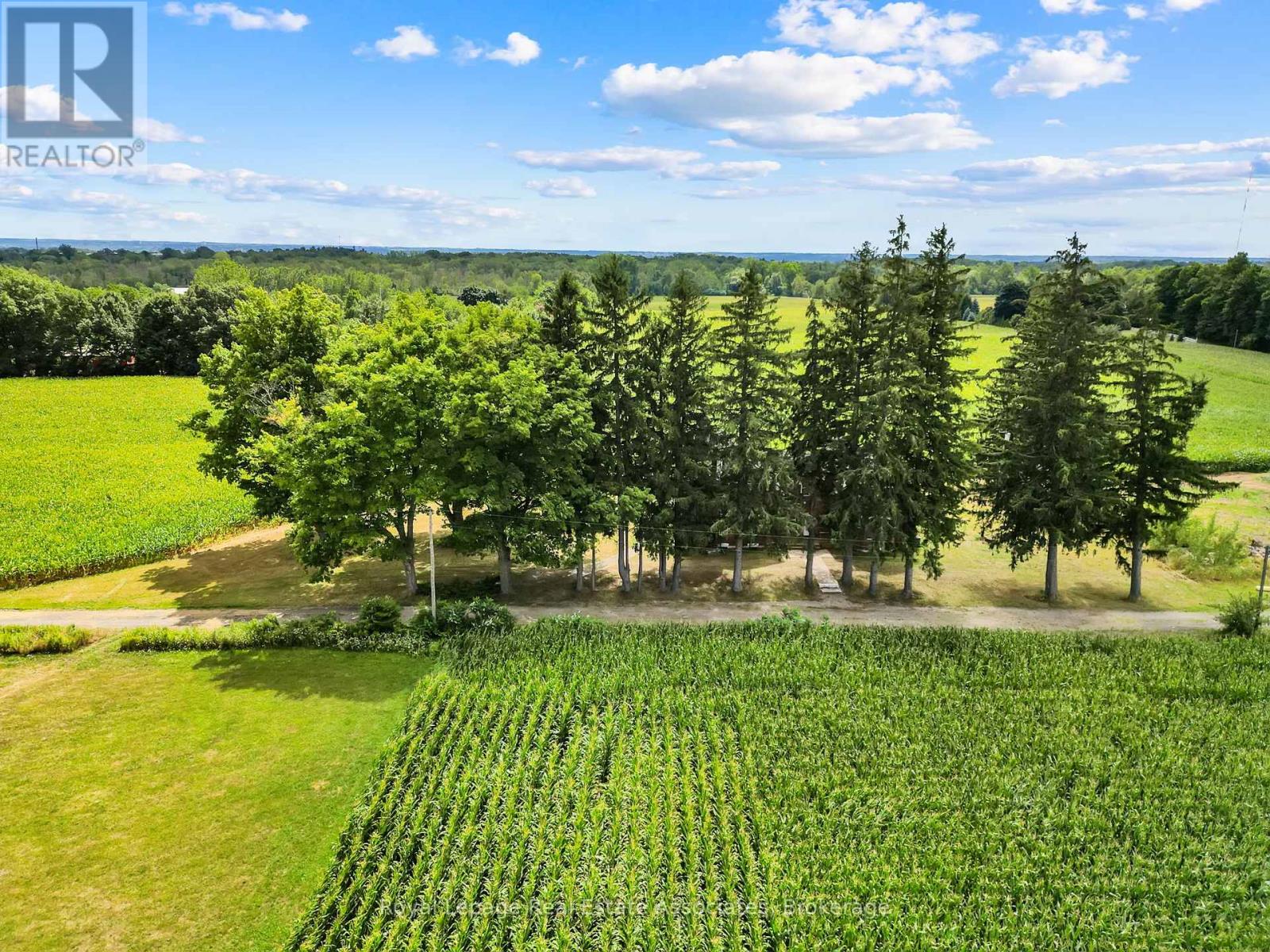 783 Highway 6 N, Hamilton, Ontario L8N 2Z7 - Photo 4 - X12805418