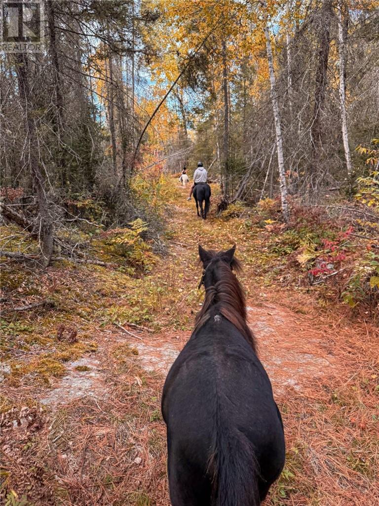 146 Gordon Lake Road, Chelmsford, Ontario  P0M 1L0 - Photo 18 - 2126963
