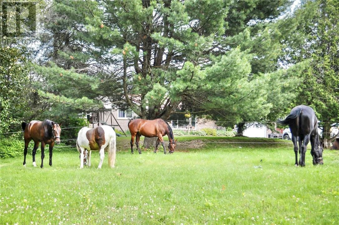 146 Gordon Lake Road, Chelmsford, Ontario  P0M 1L0 - Photo 19 - 2126963