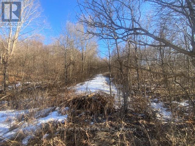 00 Lot 2 County10 Road, Rideau Lakes, Ontario  K0G 1X0 - Photo 4 - X12935996