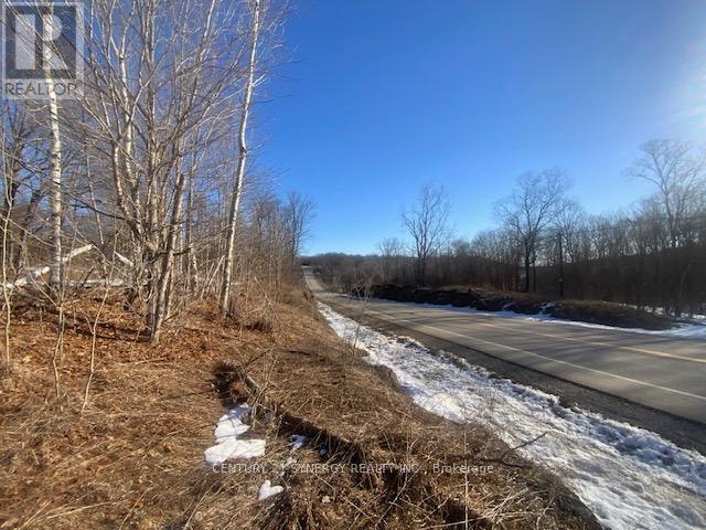 00 Lot 2 County10 Road, Rideau Lakes, Ontario  K0G 1X0 - Photo 8 - X12935996