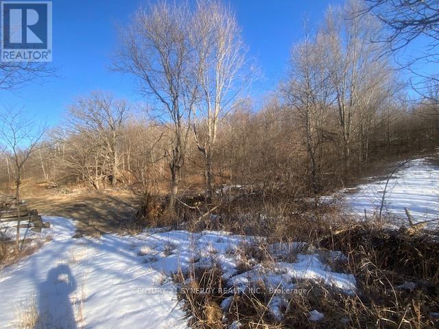 00 Lot 1 County  Rd 10 Road, Rideau Lakes, Ontario  K0G 1X0 - Photo 2 - X12936040