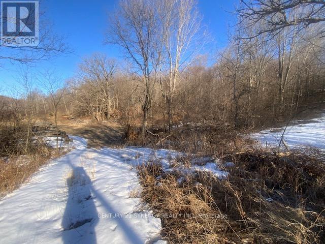00 Lot 1 County  Rd 10 Road, Rideau Lakes, Ontario  K0G 1X0 - Photo 4 - X12936040