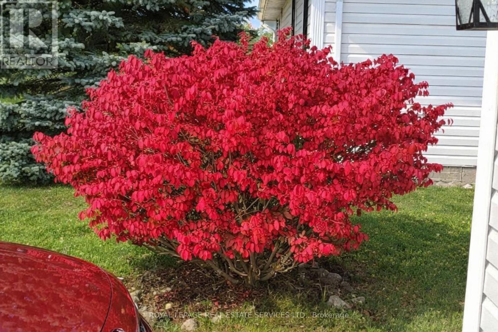 65 Pennsylvania Avenue, Wasaga Beach, Ontario  L9Z 3A8 - Photo 24 - S12726176