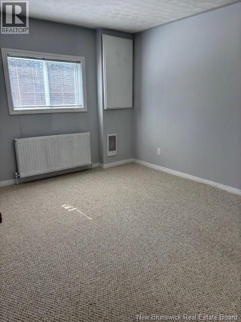 576 Drurys Cove Road, Ratter Corner, New Brunswick  E4E 3L2 - Photo 20 - NB136034