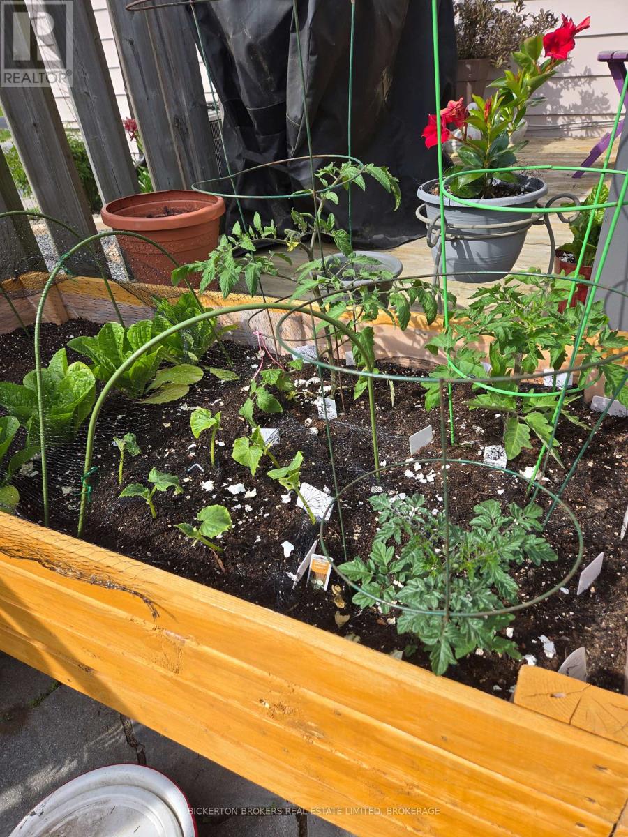 292 William Street N, Gananoque, Ontario  K7G 1S5 - Photo 36 - X12750748