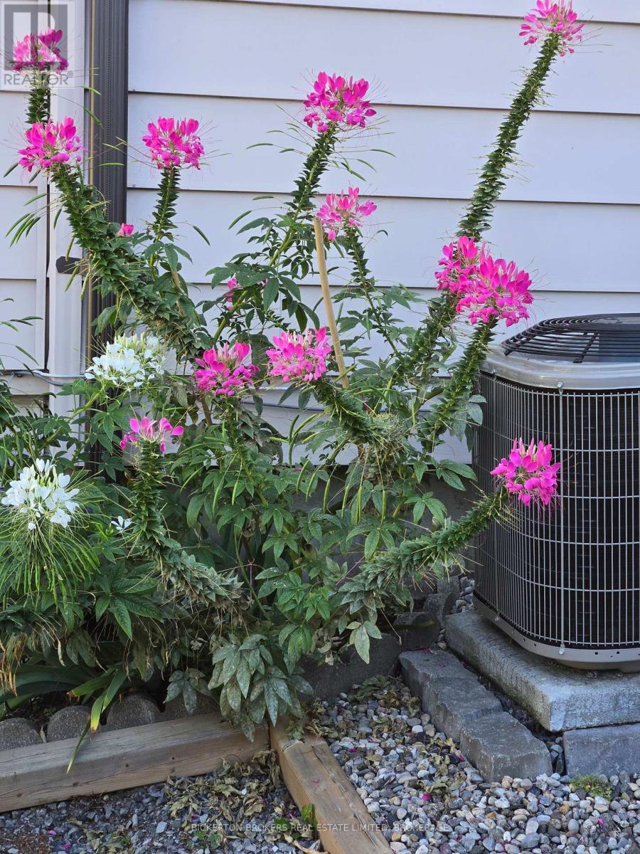 292 William Street N, Gananoque, Ontario  K7G 1S5 - Photo 38 - X12750748