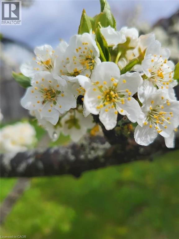 609 Woolgrass Avenue, Waterloo, Ontario  N2V 2X9 - Photo 3 - 40816164