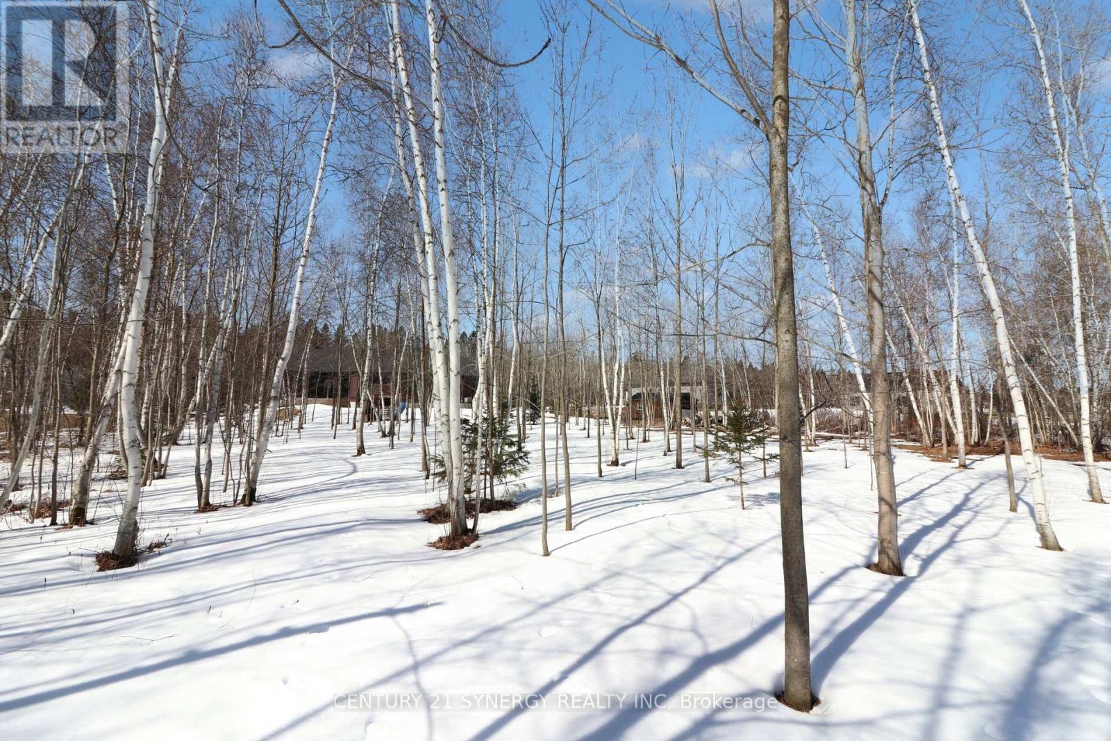 1261 Drouin Road, The Nation, Ontario  K0A 1M0 - Photo 47 - X12936372