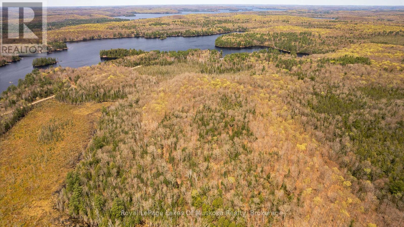 1356 Dickie Lake Road, Lake Of Bays, Ontario  P0B 1A0 - Photo 4 - X12936408