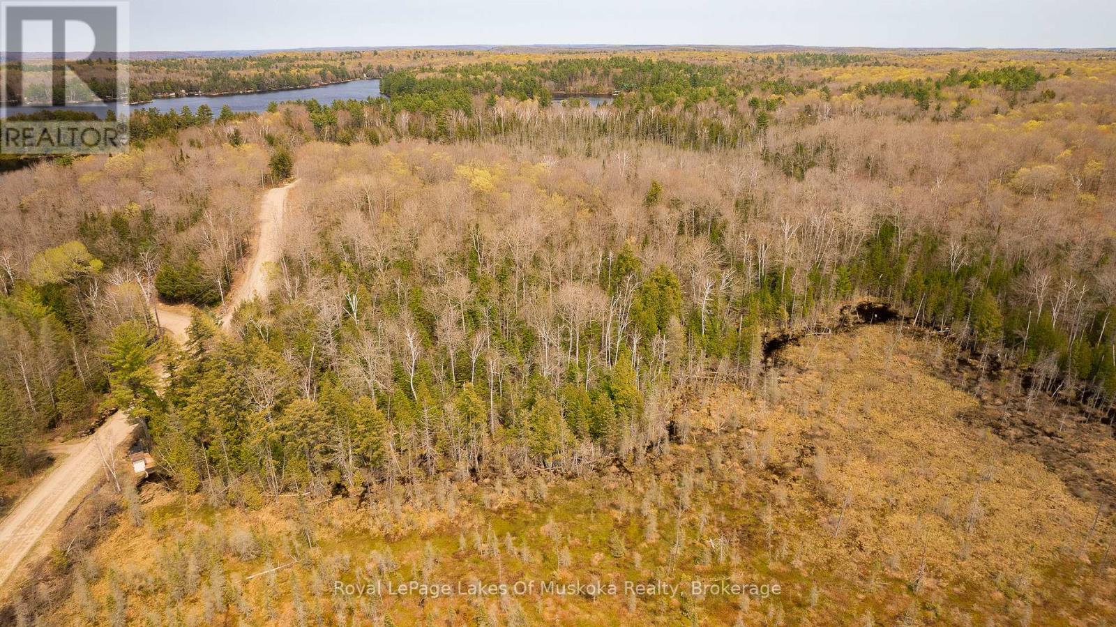 1356 Dickie Lake Road, Lake Of Bays, Ontario  P0B 1A0 - Photo 5 - X12936408