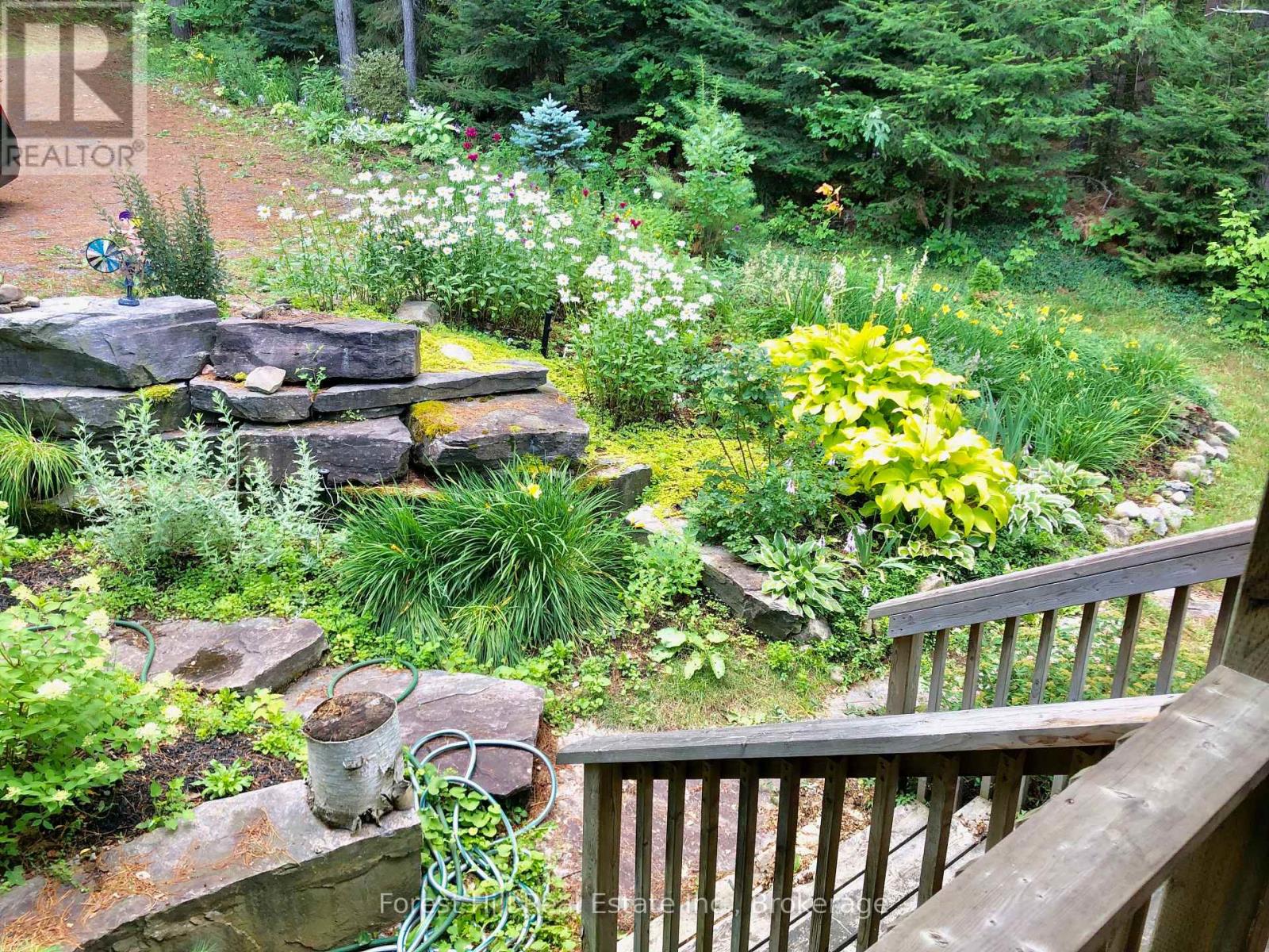 1101 Glenmount Road, Lake Of Bays, Ontario  P0B 1A0 - Photo 43 - X12918718