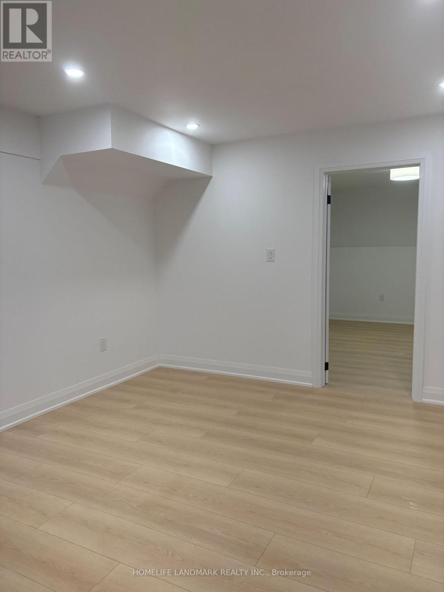 Basement - 64 Charlotte Abby Drive, East Gwillimbury, Ontario  L9N 0S9 - Photo 11 - N12936520