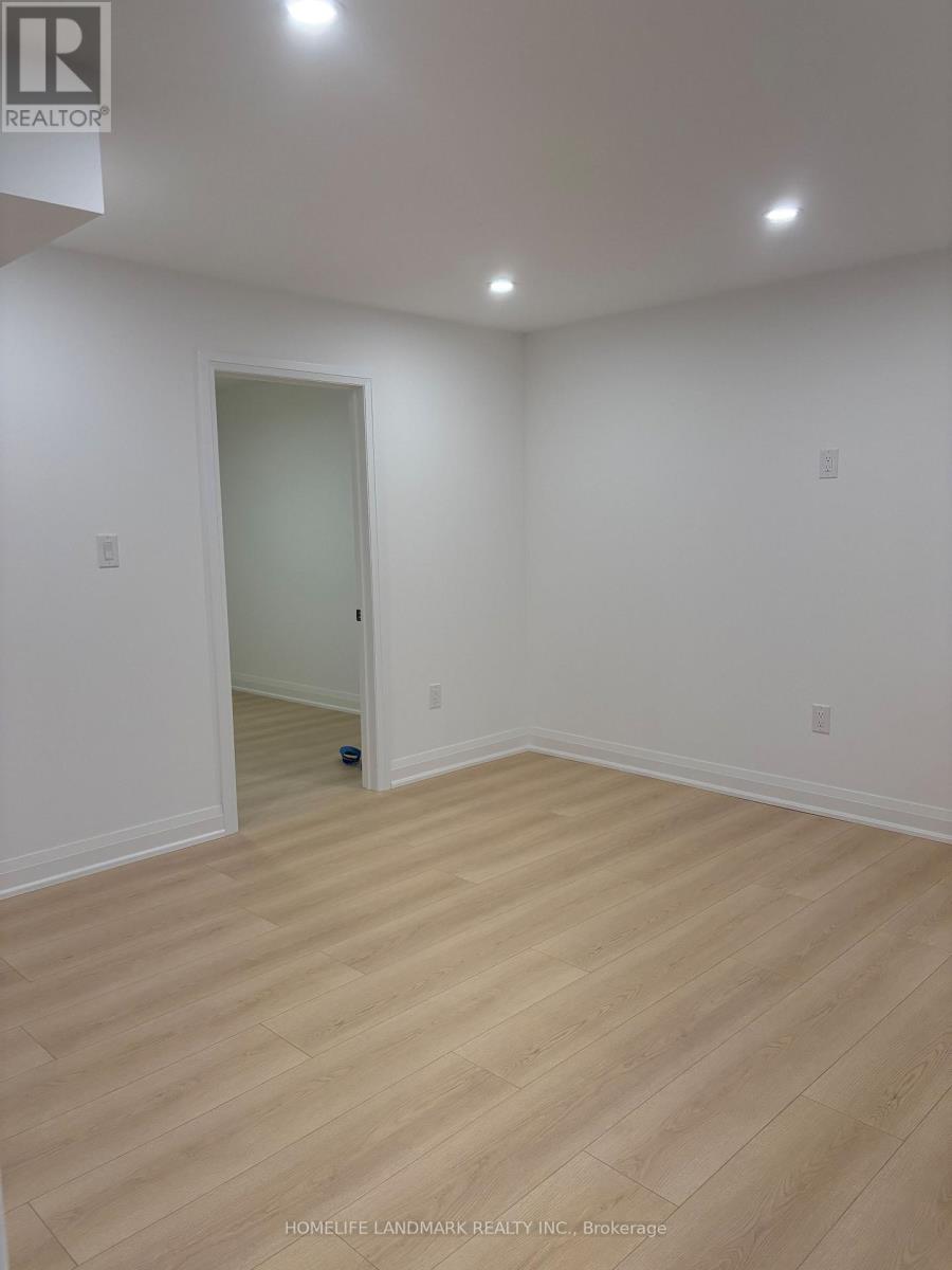 Basement - 64 Charlotte Abby Drive, East Gwillimbury, Ontario  L9N 0S9 - Photo 13 - N12936520