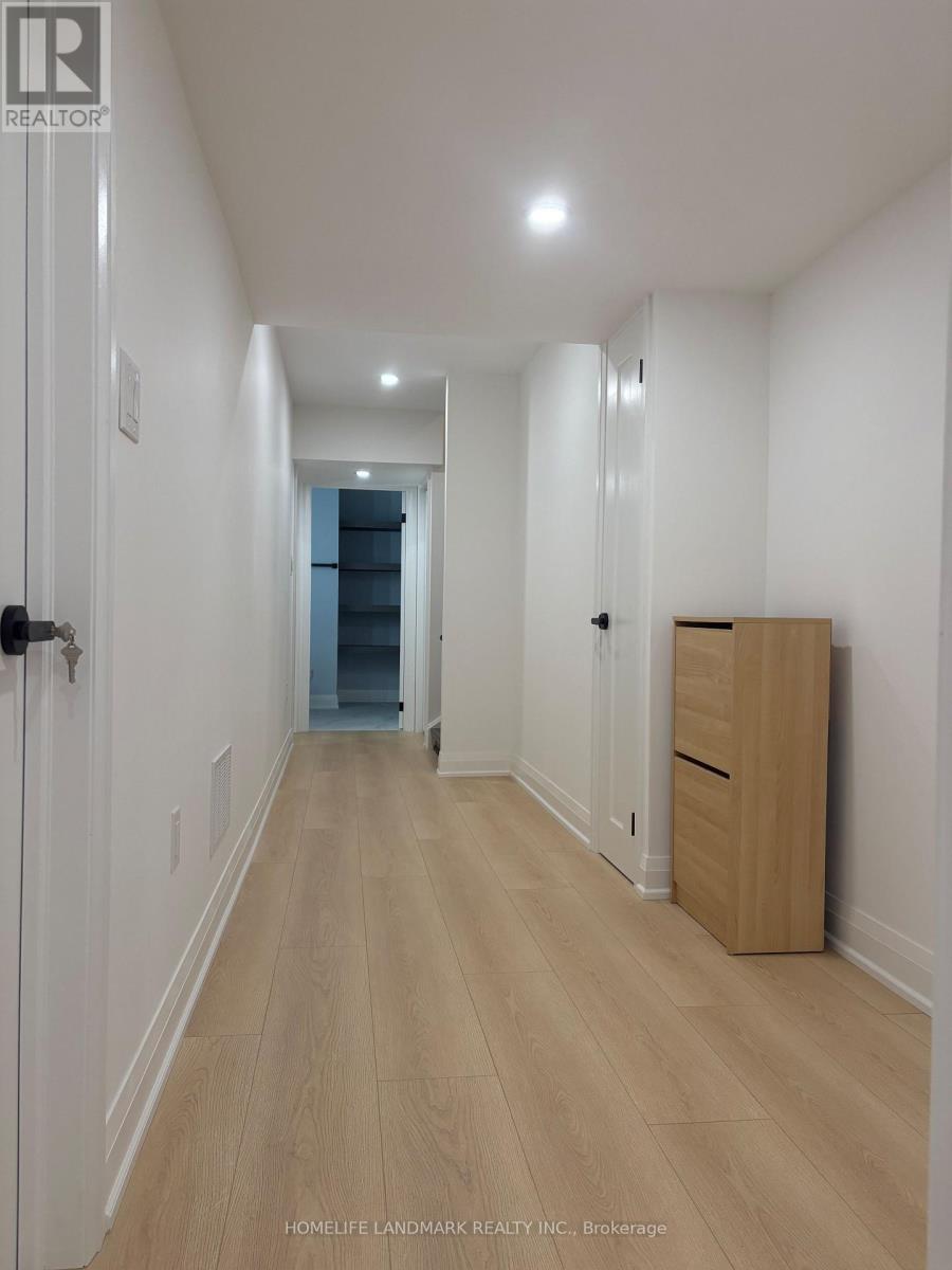 Basement - 64 Charlotte Abby Drive, East Gwillimbury, Ontario  L9N 0S9 - Photo 14 - N12936520