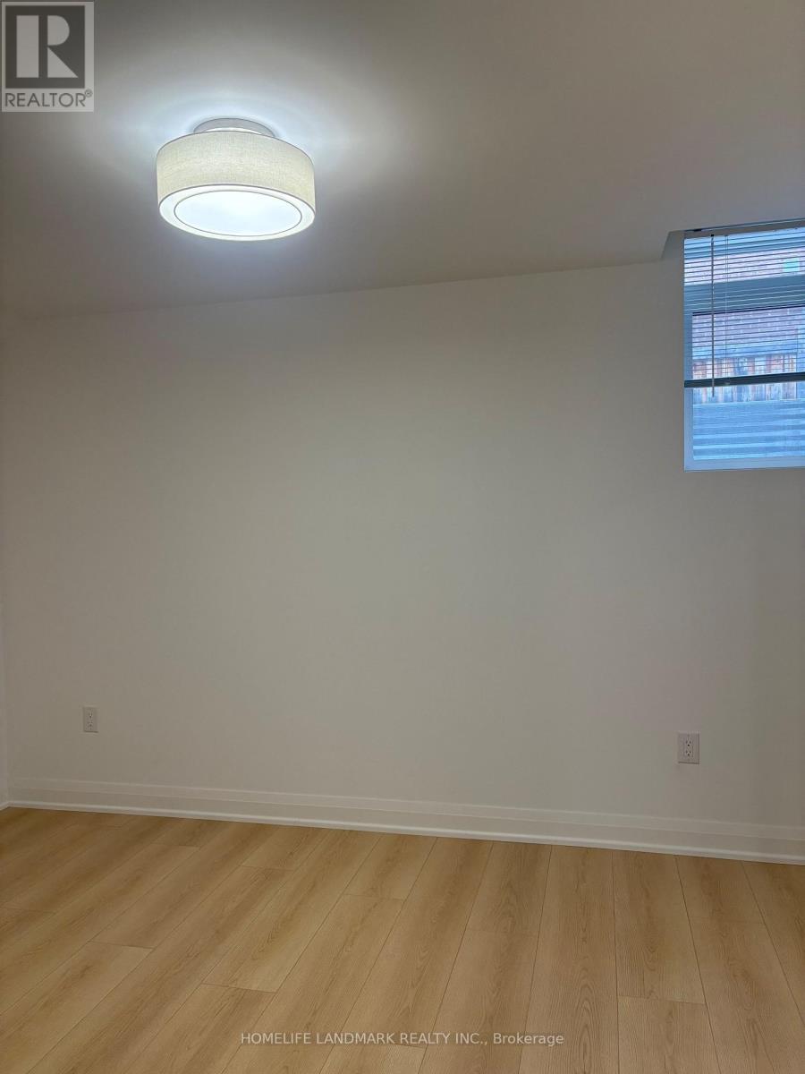 Basement - 64 Charlotte Abby Drive, East Gwillimbury, Ontario  L9N 0S9 - Photo 17 - N12936520